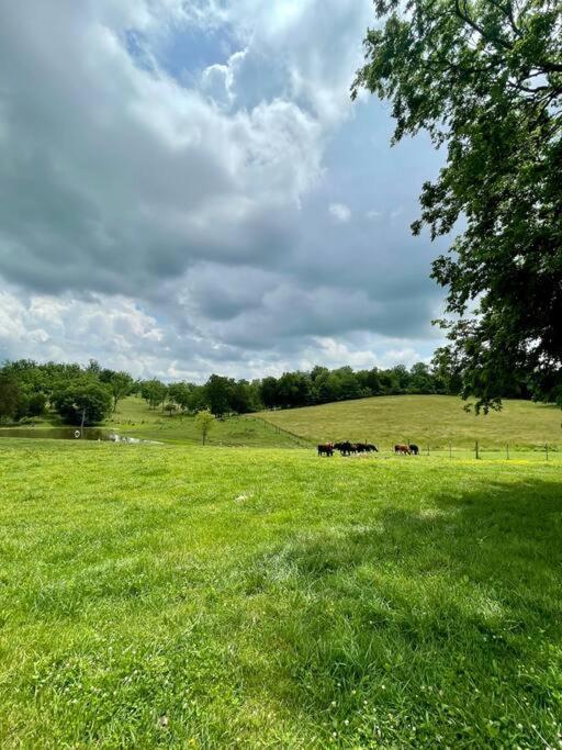 Bourbon Trail Cabin On The Farm Lawrenceburg Экстерьер фото