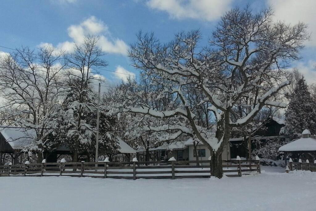 Bourbon Trail Cabin On The Farm Lawrenceburg Экстерьер фото